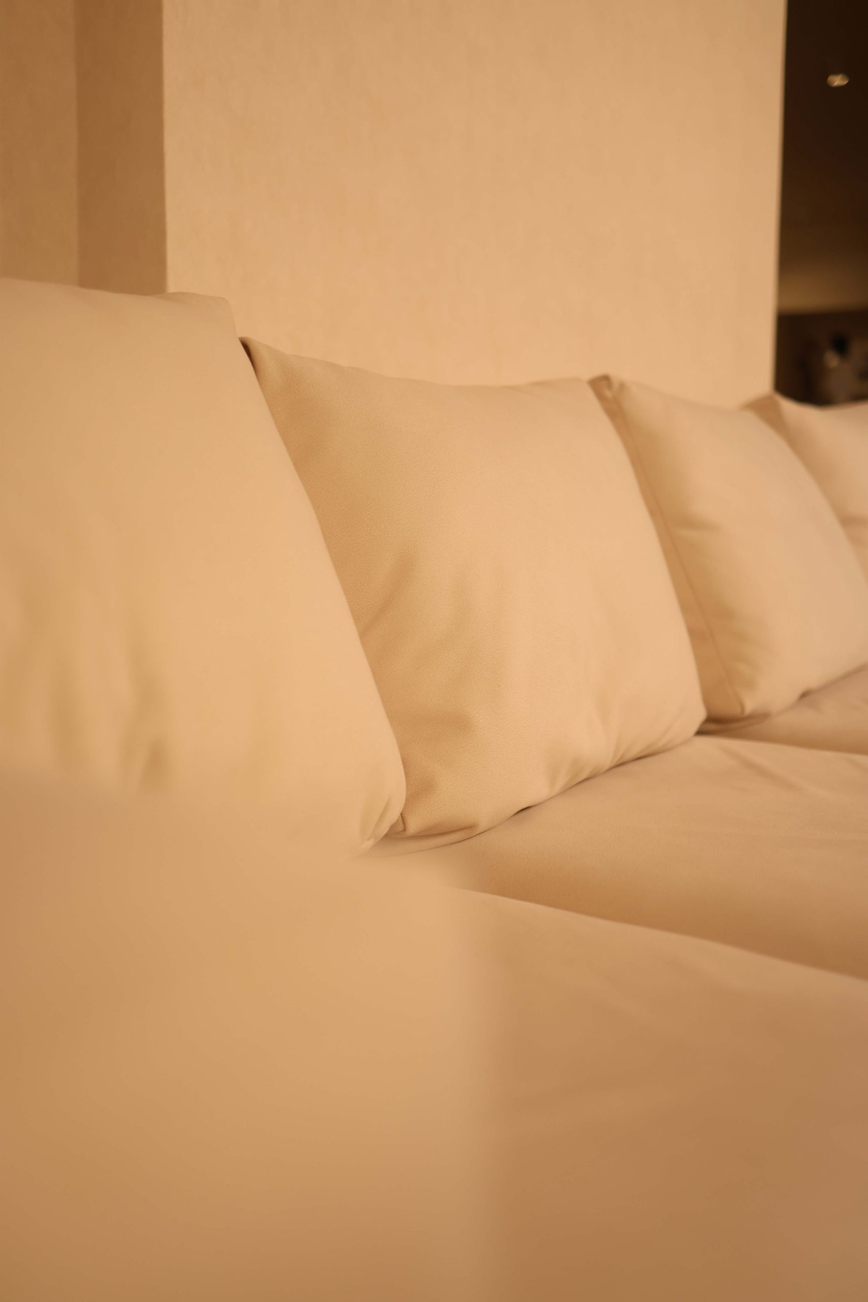 Fili d’Oro — Where Comfort Meets Consciousness (1)